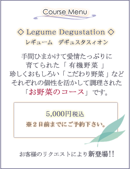 ���M���[���@�f�M���X�^���X�B�I��